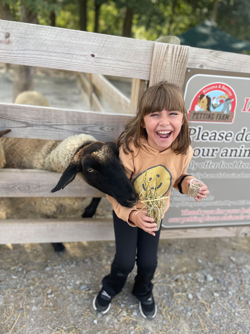 petting-farm-img03