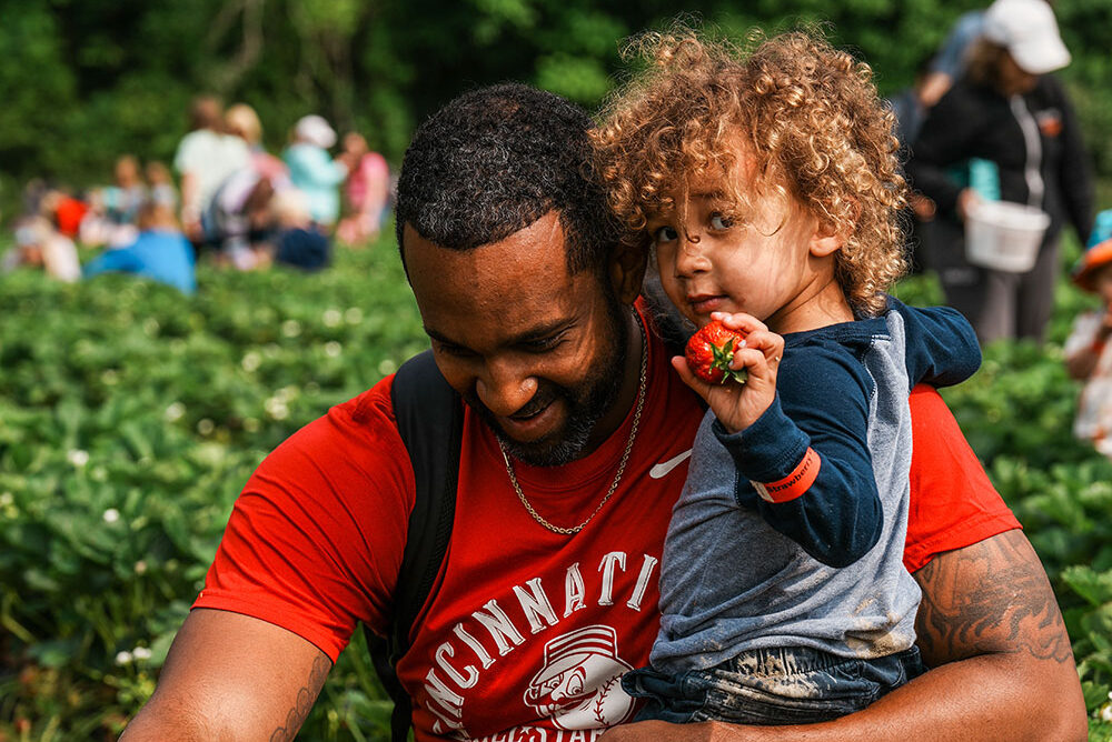 Strawberry Days | Pick Strawberries at Blooms & Berries Farm