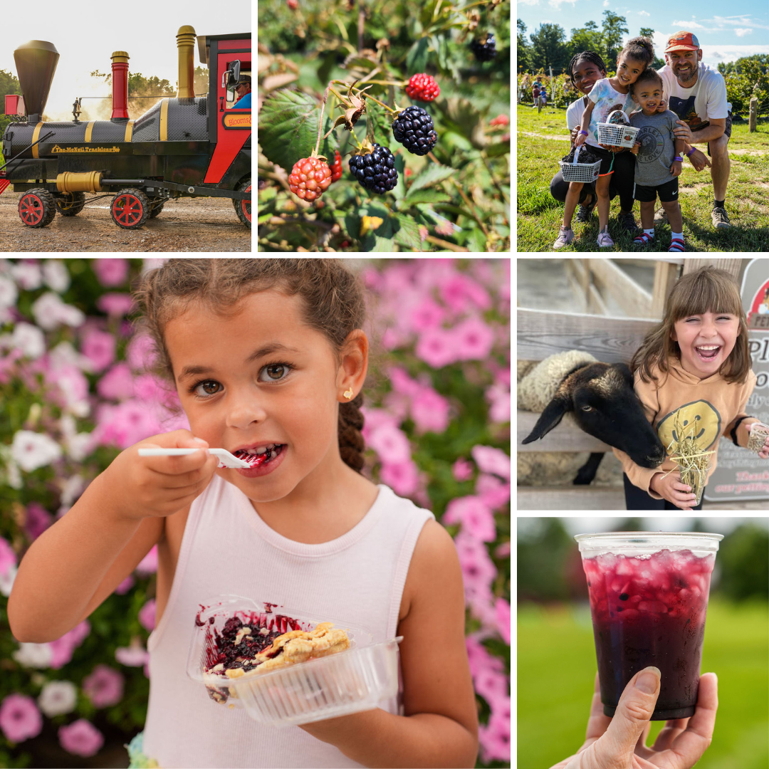 Blackberry Days Collage